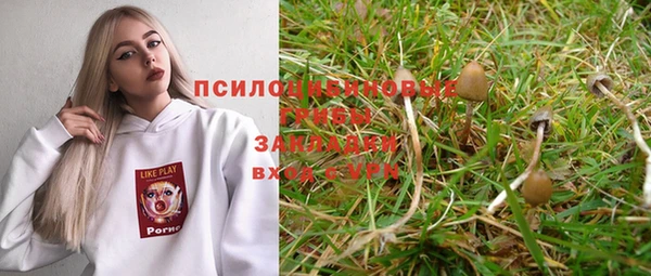 хмурый Нягань