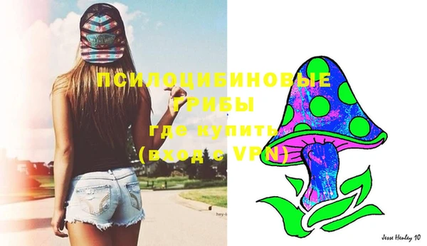 хмурый Нягань
