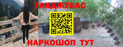 spice Абакан