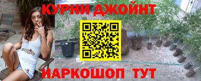 ALPHA PVP Гай
