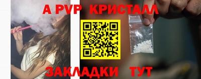 ALPHA PVP Гай