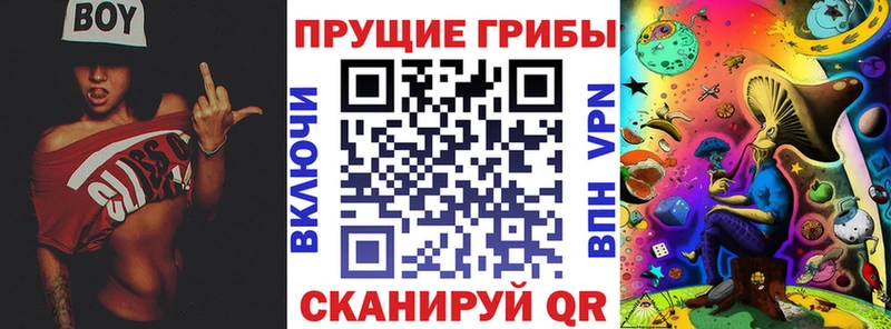 Псилоцибиновые грибы ЛСД  Амурск 