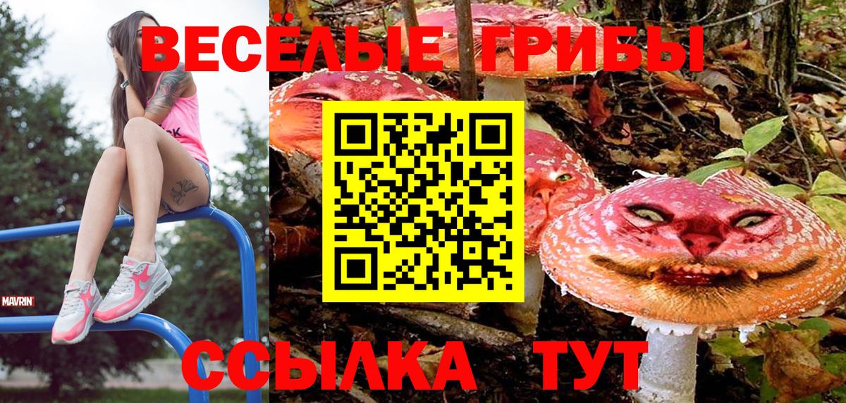 Галлюциногенные грибы Psilocybe Амурск