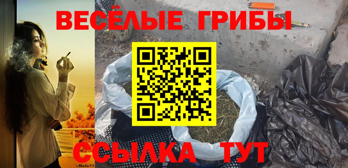 закладка  Псилоцибиновые грибы Cubensis  Амурск  Вход с VPN  Псилоцибиновые грибы прущие грибы 