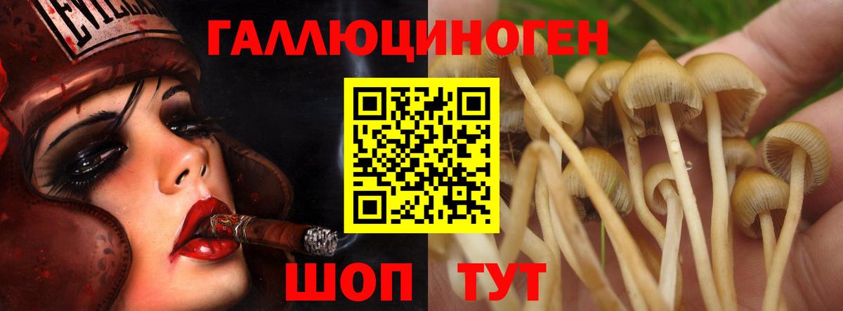 наркошоп  Вход с VPN  Галлюциногенные грибы Cubensis  Амурск  Псилоцибиновые грибы мухоморы 